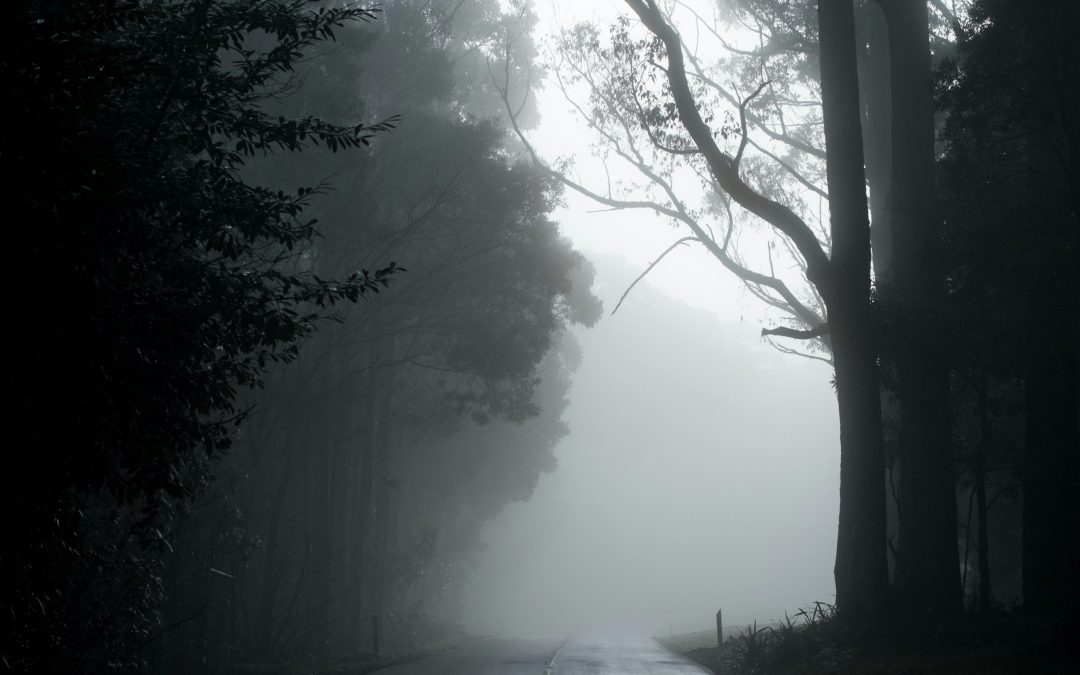 Strah kao motivator i paralizator