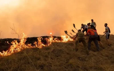 Kad je važnije izgledati nego biti: narcistička perverzija pred vatrom koja ne prestaje